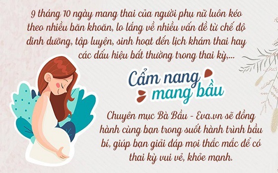 Review Sách Cẩm Nang Mang Thai Và Sinh Con