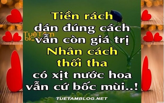 25 CHÂN LÝ SỐNG TỰ NGẪM SỰ ĐỜI - CHUẨN XÁC TỪNG CÂU CHỮ