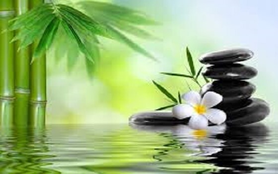 Ý Nghĩa “Đời người đã định không thể bẻ cong, quan tài nên mỏng thì không thể dày”​​​​​​