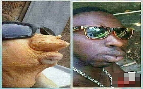 Khoảnh khắc hài hước dễ gây hiểu nhầm cho người khác