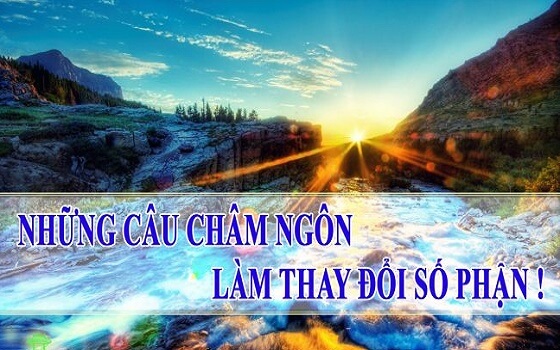 Top 100+ câu châm ngôn về cuộc sống càng đọc càng ngẫm càng thấm thía